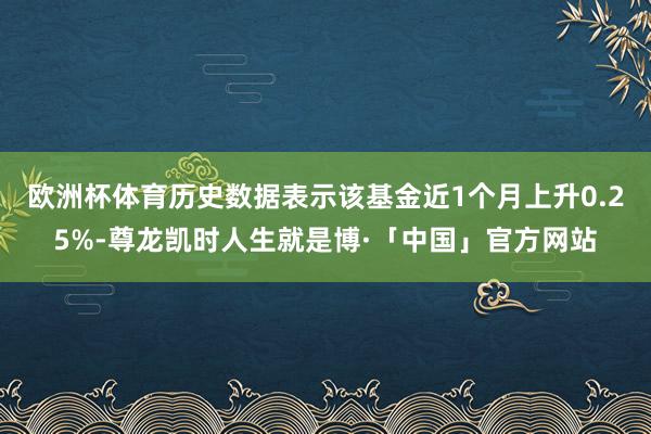欧洲杯体育历史数据表示该基金近1个月上升0.25%-尊龙凯时人生就是博·「中国」官方网站