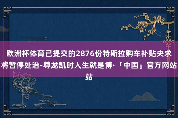 欧洲杯体育已提交的2876份特斯拉购车补贴央求将暂停处治-尊龙凯时人生就是博·「中国」官方网站