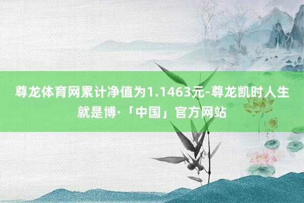 尊龙体育网累计净值为1.1463元-尊龙凯时人生就是博·「中国」官方网站
