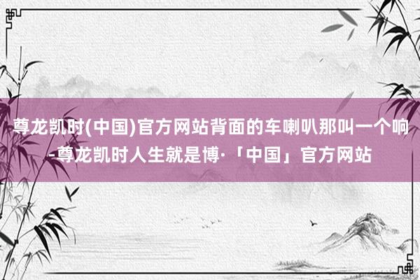 尊龙凯时(中国)官方网站背面的车喇叭那叫一个响-尊龙凯时人生就是博·「中国」官方网站
